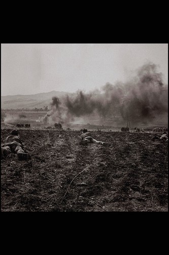 507043 ppcli action sicily - ppcli,